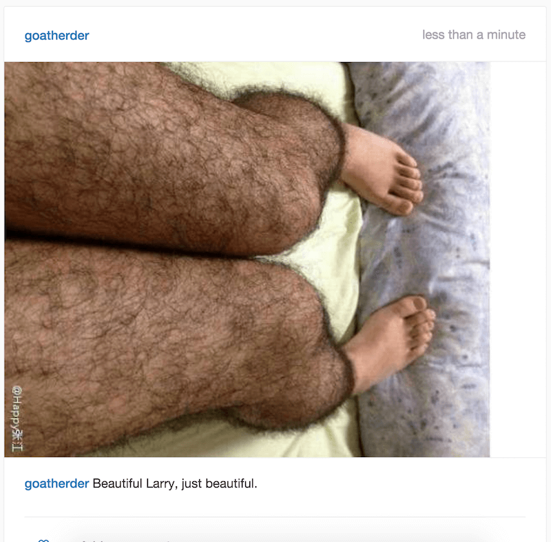 Larry’s Lovely Legs